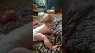 WP 20171221 10 18 23 Pro