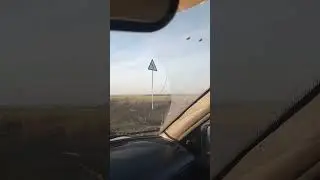 что ЗА новый ГОД, РОСТОВ-НА-ДОНУ