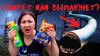 КАК НАКОРМИТЬ ГОРКУ ПОЖИРАТЕЛЯ. ГОРКА ПОЖИРАТЕЛЬ В РЕАЛЬНОСТИ. СЕРИЯ 3