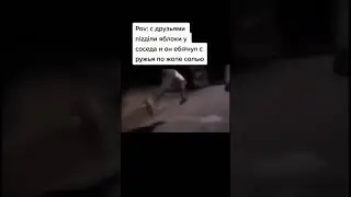 Мемасы из Тик Тока #юмор #мем #ржака #смех #прикол #смешно #shorts #мемы #MEMES #ЛУЧШЕЕ #tiktok