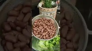 Prepare Healthy food in 1min