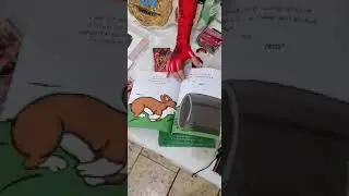 Author April Hunter: Monty, A Tale of No Tail