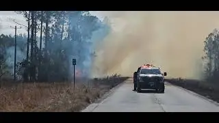 Okefenokee Swamp ESA Prescribed Burn