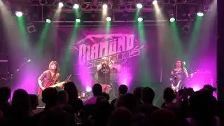 Diamond Seagulls - Simple Life (live)
