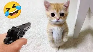 Funniest Animal Dogs And Cats Videos 2026 😂 😂 TRY NOT TO LAUGH 😂😂