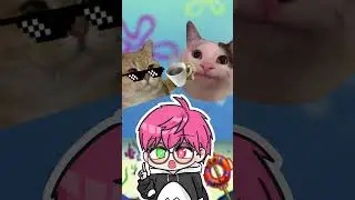qne 617.326 subs