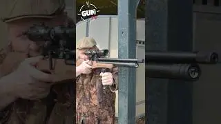 EB ARMS AGINCOURT - A quality PCP Airgun for £500!  #airgunning #edgarbrothers