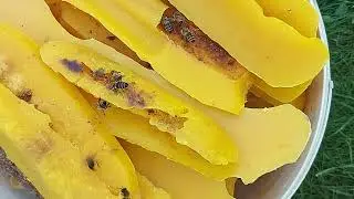 Сонячні воскотопки | Короба для воску
