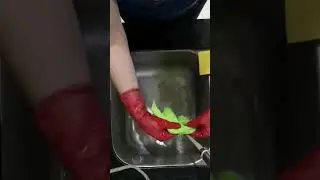 red latex gloves ASMR