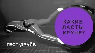 Тест-драйв лучших ласт в мире. UP F1 vs Molchanovs by Proteus.