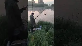 Утренний линь