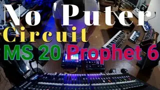 Novation Circuit jam with Mono Station/ MS20/ DSI Prophet 6 Dawless
