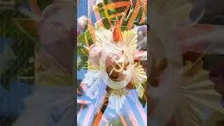 9 май,Боек Жину коне белэн!💐