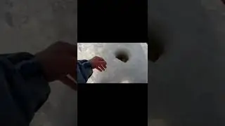 Вываживание крупной сороги. Музыка: Funny dayМузыкант: Ilya TruhanovURL: 