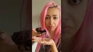 My tarantula died… 😞💔