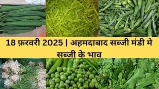 Ahmedabad wholesale vegetable market | 18 February 2025 | अहमदाबाद सब्जी मंडी मे सब्जी के भाव...