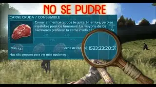 COMO HACER QUE NO SE PUDRA LA CARNE NI NINGÚN OTRO CONSUMIBLE EN ARK (truco)