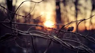 Accelra - Three Suns
