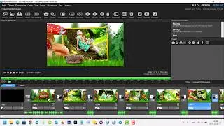 Как "сфотографировать" нужный слайд в Proshow Producer