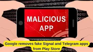 Google removes fake Signal and Telegram apps from Play Store 