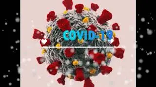 COVID-19 whatsapp status