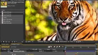 Tutorial 18 - Beautiful Video Animation Part 1