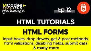 HTML Forms Crash Course: from Zero to Hero Step by Step Guide (in Sinhala)
