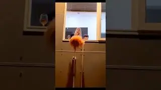 Wait for it ☠️😂🫡 #funny #prank #ghost #viral