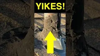 Foundation repairs? Watch out for this!