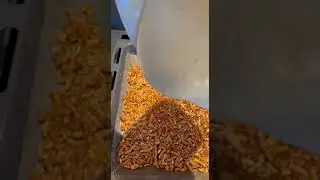 Рулет с яблочной начинкой.