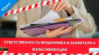FALSIFICATION OF EVIDENCE Liability of the fraudster and the applicant for falsification