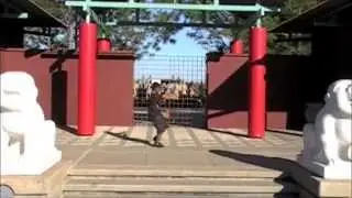 BMonk Jr. Tanglang Chuan and BaguaZhang