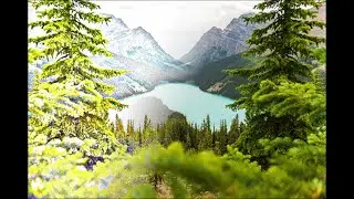 Música para relaxar. Relaxing Music, Calm Music.