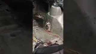 Девятка))
