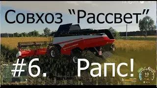 Совхоз Рассвет - Рапс. Прохождение FS19