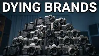 Camera Brands That Are Quietly Dying (And Which Ones Are Safe)