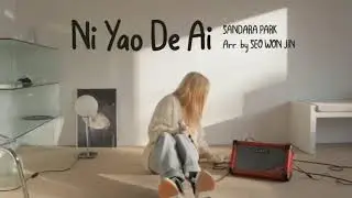 METEOR GARDEN OST - Ni Yao De Ai || Sandara Park’s Cover