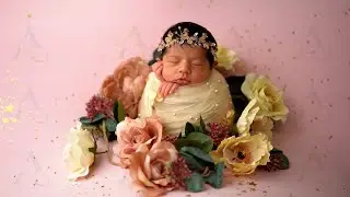 Ava's Newborn  Session  4k