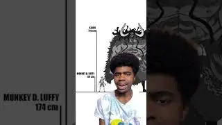 One Piece Character Height Comparison