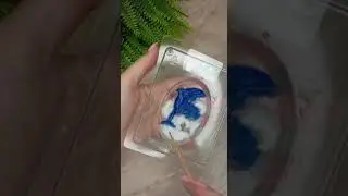 Мыло морское