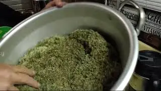 Harvesting and Dehydrating Goldenrod Tea