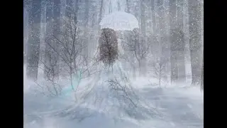 Опять метель...