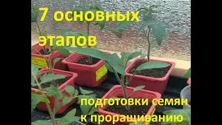 7 Золотых правил для проращивания семян. 100% результат! (Этапы: 1-7, Выращиваем рассаду дома!)