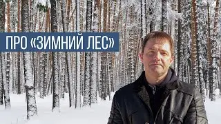 Сказка про "зимний лес" в строительстве.