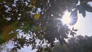 R and V Wedding Video