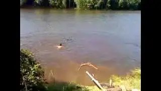 Mit dem Fahrrad ab in dem See