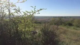 В посадке поют птички Первомайск ПМР