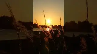 A beautiful ending. #sunset #viral