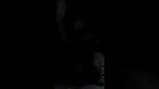 Котейка-Тестомес