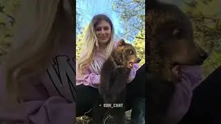 SMALL ANIMAL TRANSFORMATION 